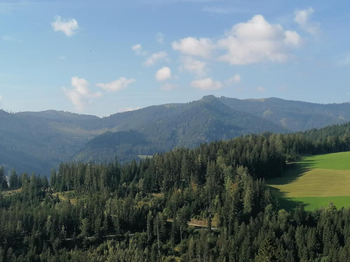 Ferienhaus Stubalpenblick Βίλα Salla Εξωτερικό φωτογραφία